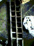 d0007957_06242.jpg