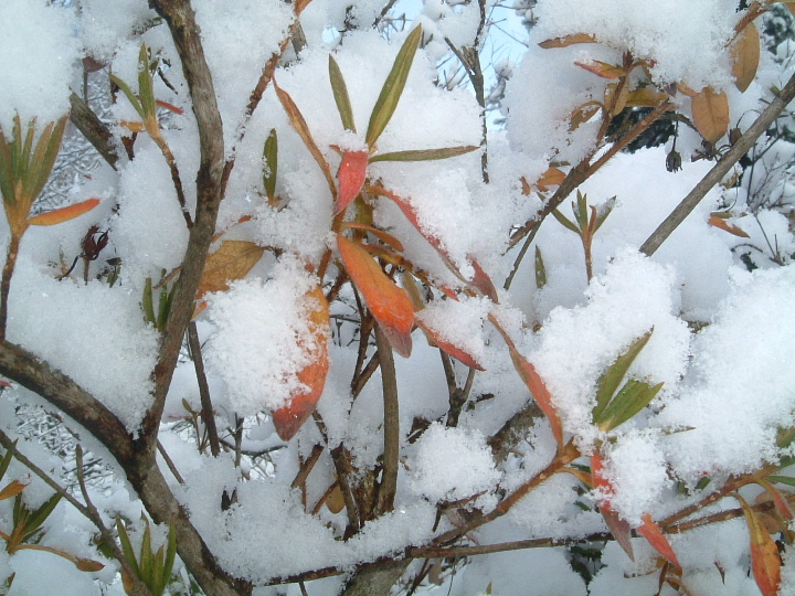 b0067569_20414578.jpg