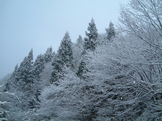 b0067569_910597.jpg