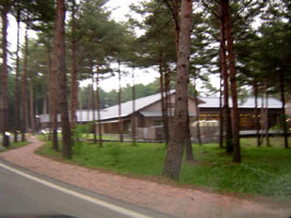 e0020386_21264543.jpg