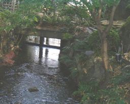 d0038294_22362694.jpg