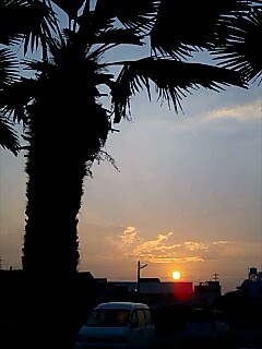 b0021897_21305742.jpg