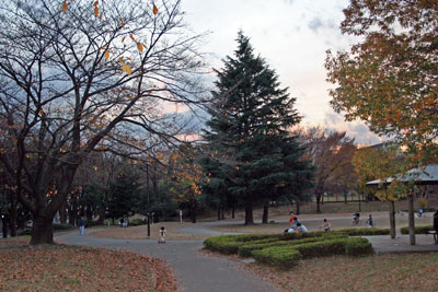c0011204_1532479.jpg