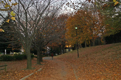c0011204_1535913.jpg