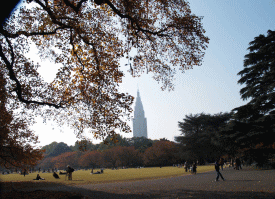 d0014408_1293360.gif