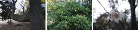d0014408_13364845.gif