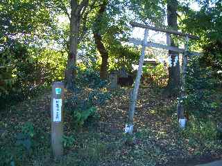 c0051112_0384288.jpg