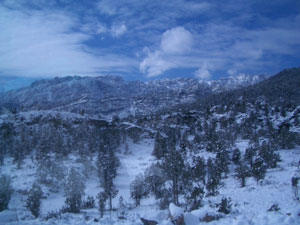 c0009224_207513.jpg