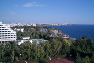 c0009224_2081847.jpg