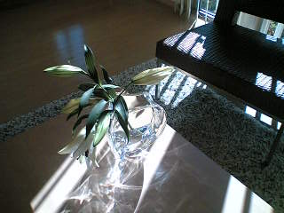 d0066024_23211455.jpg