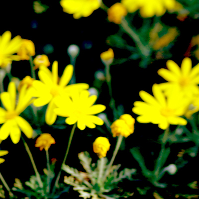 a0053732_1664622.jpg