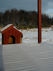 d0032736_1446198.jpg