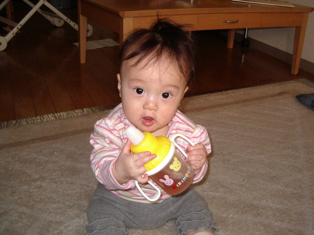 e0089272_1334530.jpg
