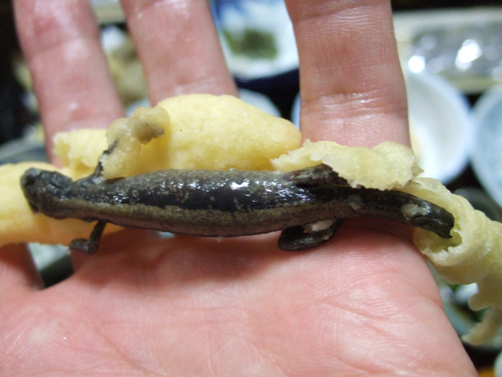 新着サンショウウオ 食用 最高の花の画像