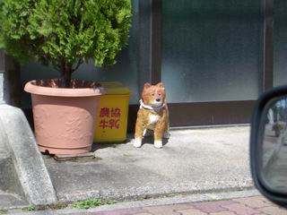 津幡町の犬の置物_b0007481_11374323.jpg