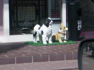 津幡町の犬の置物_b0007481_11375032.jpg