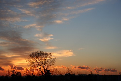 e0027083_1514066.jpg