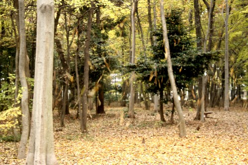 e0027083_15471536.jpg