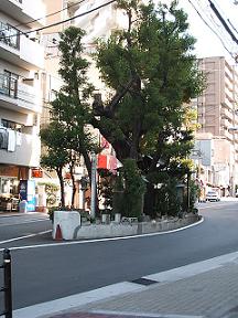 e0074192_1430110.jpg