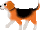 a0057402_0184283.gif