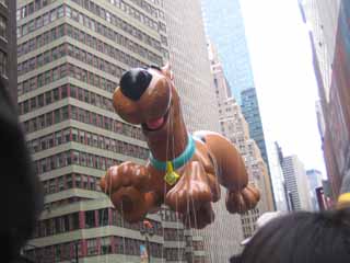 c0055212_1149577.jpg
