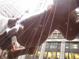 c0055212_11511055.jpg