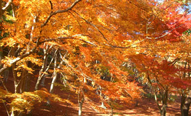 e0034012_23255290.jpg