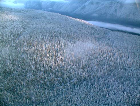 c0018716_3253911.jpg