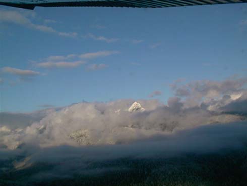 c0018716_3372423.jpg