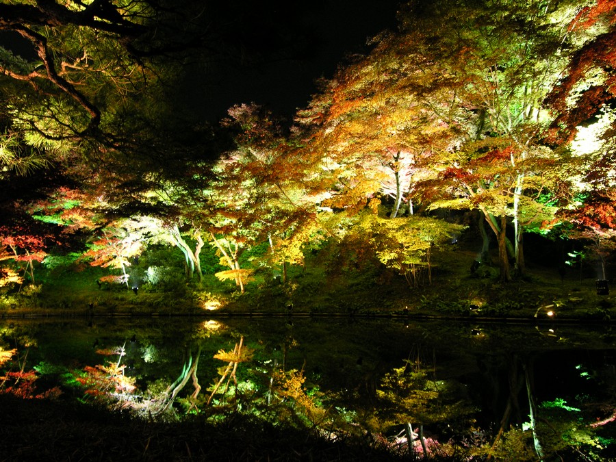 池に映る紅葉 高台寺のライトアップ 私のデジタル写真眼