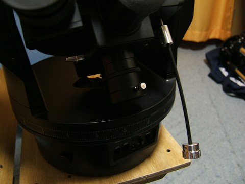 e0089232_23231661.jpg