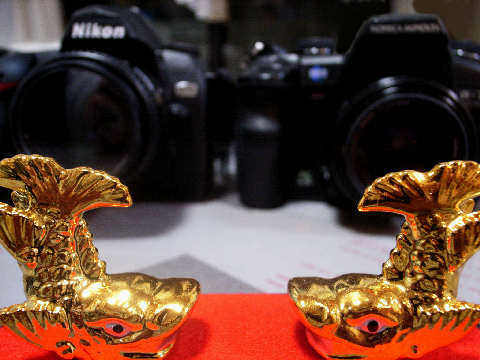 玄人選科】名機対決：デジタル編（1） D70 vs. α-7Digital : 【匠の