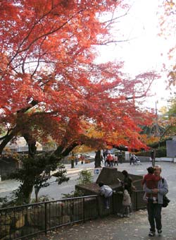 神戸王子動物園_d0045862_2471729.jpg