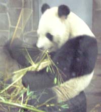 神戸王子動物園_d0045862_2544133.jpg