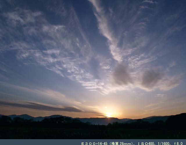 e0019563_9211617.jpg