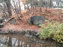 b0067569_21302946.jpg