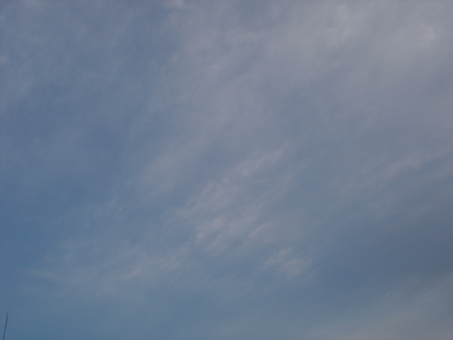 曇り・・でも晴れそうな「空」_e0051174_72098.jpg