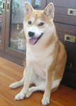 b0057675_10372628.jpg