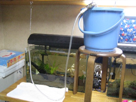 水槽その5_e0012777_023958.jpg