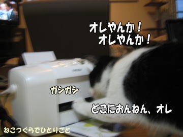 b0041182_94359.jpg