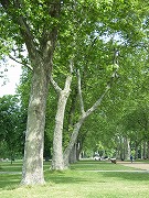 b0062185_23531765.jpg
