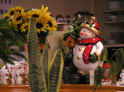e0066210_1265860.jpg