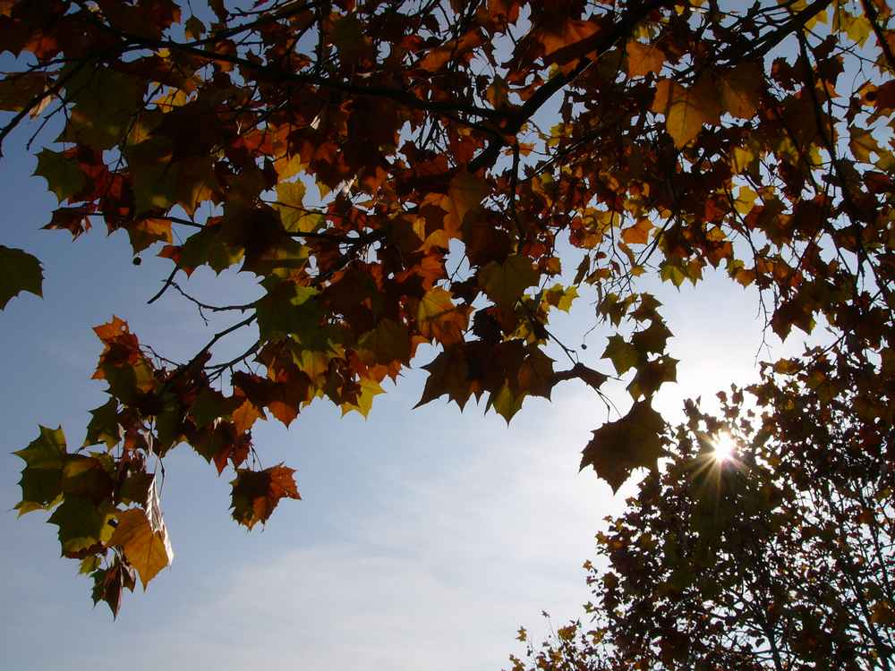 c0062511_5454057.jpg