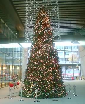 c0020915_2014231.jpg