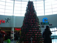 e0012216_11264927.jpg