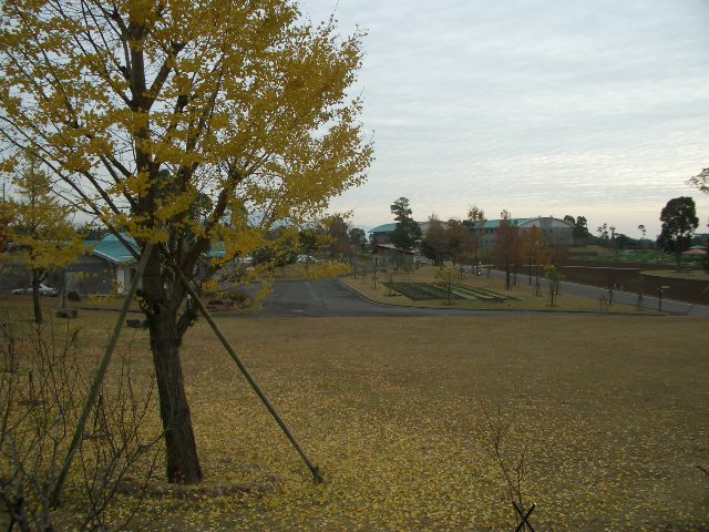 f0010925_19533310.jpg