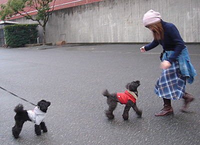 １２月２日（金）雨／くもり　　とうとう現実？　ご対面～♪_d0026745_14195938.jpg