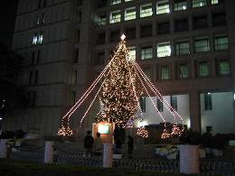 c0072470_102690.jpg