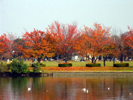 c0038983_1143468.jpg