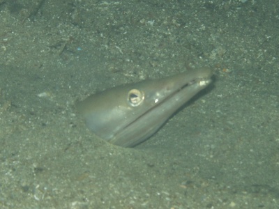 e0064291_10361169.jpg